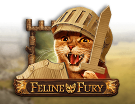 Feline Fury