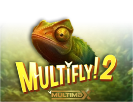 MultiFly 2