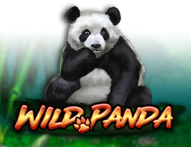 Wild Panda