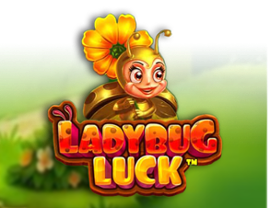 Ladybug Luck